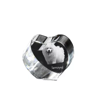 Samojede, Samoyed, Samojedenhund, Samojedenspitz - Hundebild im Kristall, Kristallherz, einzigartiger Bilderrahmen der Marke Art-Dog