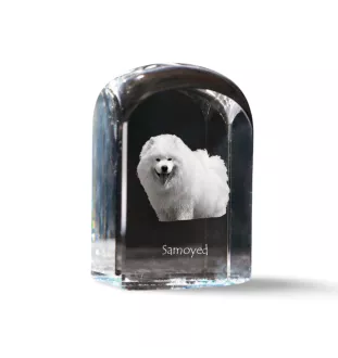 Samoyed, Bjelkier, Samoiedskaya Sobaka - crystal cube with a photo, photo of a dog in crystal, cubic paperweight from Art-Dog brand