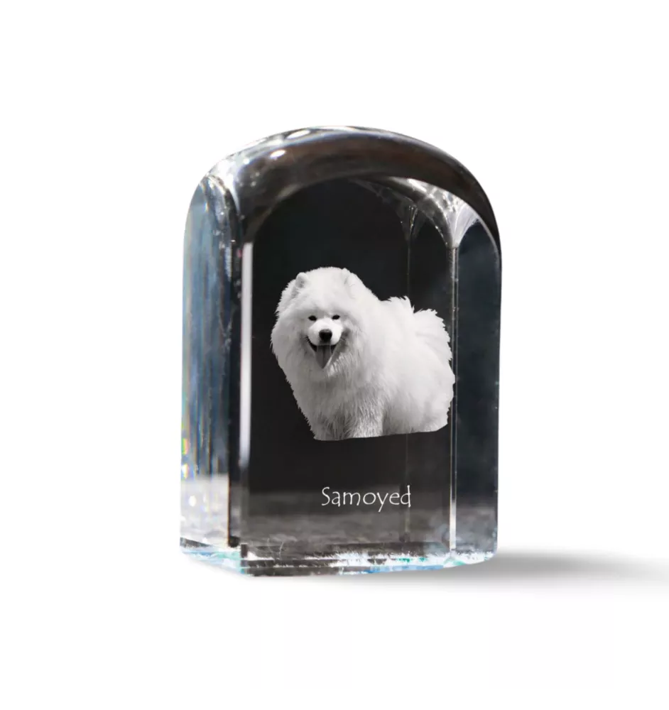 Samoyed, Bjelkier, Samoiedskaya Sobaka - crystal cube with a photo, photo of a dog in crystal, cubic paperweight from Art-Dog brand