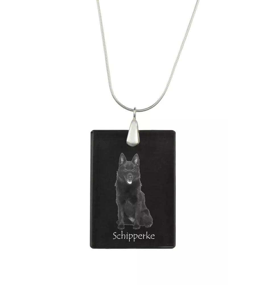 Schipperke, Little Black Devil, Little Captain - Crystal pendant with dog, silver necklace with photo, personalised pendant by Art-Dog brand