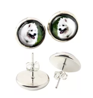 Samoyed, Bjelkier, Samoiedskaya Sobaka - earrings in a box, your photo, handmade jewelry, a product of the Art-Dog brand