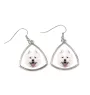 Samoyède - boucles d'oreilles avec une photo et un motif de chien géométrique Art-Dog