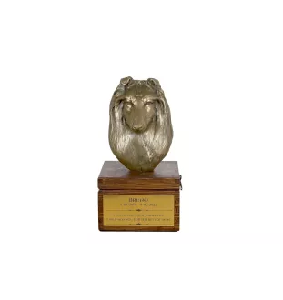 Szkocki Owczarek urna na skrzynce brązowa Art-Dog