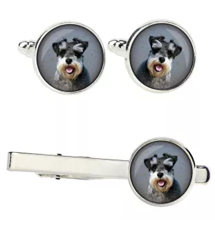 Sznaucer, Schnauzer zestaw spinek w pudełku ze zdjęciem Art-Dog