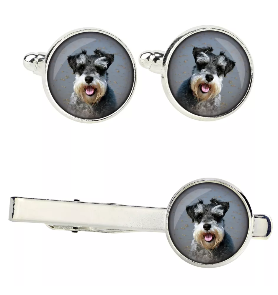 Sznaucer, Schnauzer zestaw spinek w pudełku ze zdjęciem Art-Dog