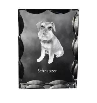 Schnauzer - Kristall mit einem Hundebild, Glasstatuette mit einem Bild, einzigartiger Bilderrahmen der Marke Art-Dog