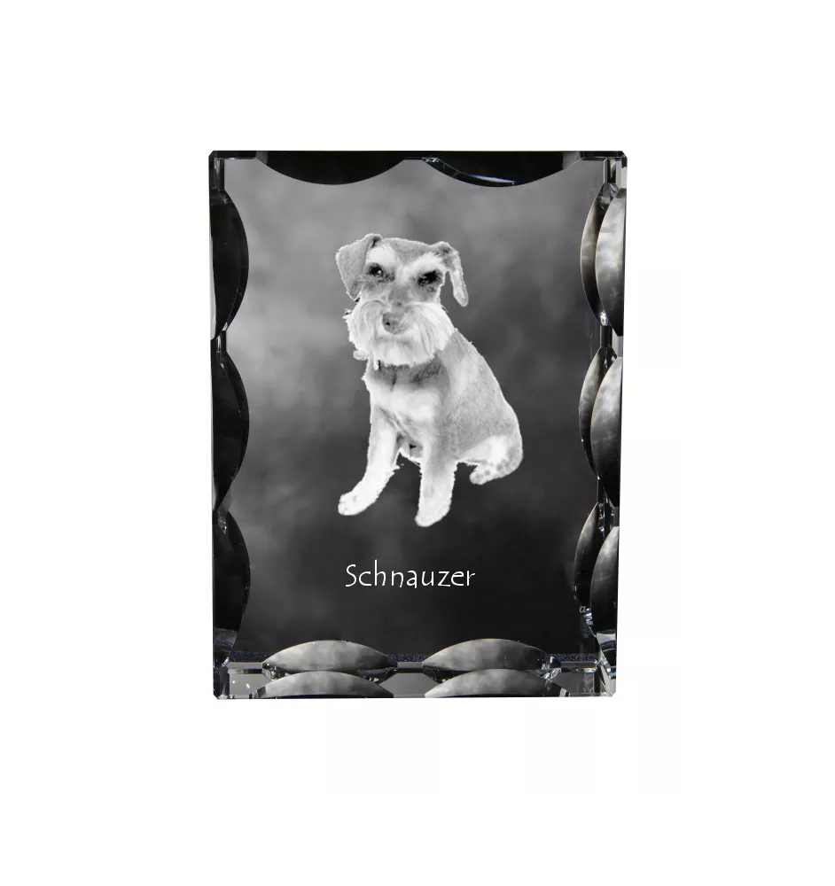 Schnauzer - Kristall mit einem Hundebild, Glasstatuette mit einem Bild, einzigartiger Bilderrahmen der Marke Art-Dog