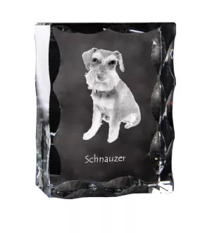 Schnauzer - cristal avec photo de chien, statuette en verre avec photo, cadre exceptionnel avec photo de la marque Art-Dog