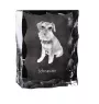 Schnauzer - cristal avec photo de chien, statuette en verre avec photo, cadre exceptionnel avec photo de la marque Art-Dog