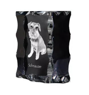 Schnauzer - cristal avec photo de chien, statuette en verre avec photo, cadre exceptionnel avec photo de la marque Art-Dog