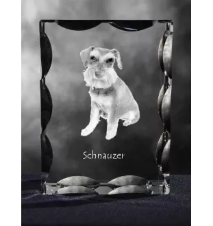 Schnauzer - Kristall mit einem Hundebild, Glasstatuette mit einem Bild, einzigartiger Bilderrahmen der Marke Art-Dog