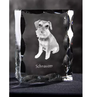 Schnauzer - cristal avec photo de chien, statuette en verre avec photo, cadre exceptionnel avec photo de la marque Art-Dog