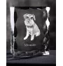 Schnauzer - Kristall mit einem Hundebild, Glasstatuette mit einem Bild, einzigartiger Bilderrahmen der Marke Art-Dog