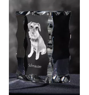 Schnauzer - crystal with a picture of a dog, glass statuette with a picture, unique frame with a picture from Art-Dog brand