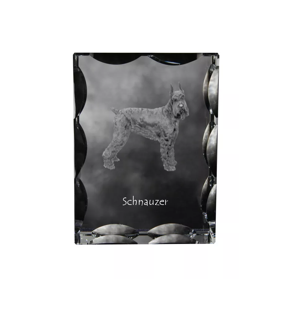 Schnauzer I - Kristall mit einem Hundebild, Glasstatuette mit einem Bild, einzigartiger Bilderrahmen der Marke Art-Dog