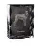 Schnauzer I - Kristall mit einem Hundebild, Glasstatuette mit einem Bild, einzigartiger Bilderrahmen der Marke Art-Dog