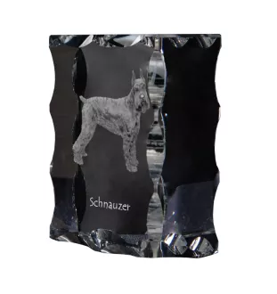 Schnauzer I - cristal avec photo de chien, statuette en verre avec photo, cadre exceptionnel avec photo de la marque Art-Dog