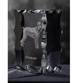 Schnauzer I - Kristall mit einem Hundebild, Glasstatuette mit einem Bild, einzigartiger Bilderrahmen der Marke Art-Dog