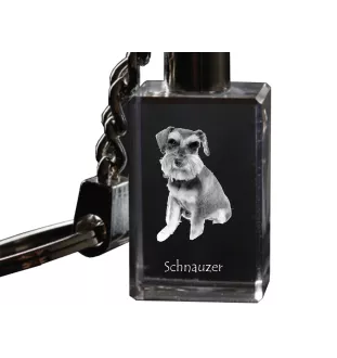 Schnauzer - Schlüsselanhänger aus Kristall mit Hundefoto, beleuchteter Schlüsselanhänger, einzigartiges Geschenk der Marke Art-Dog