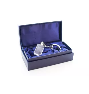 Schnauzer - Crystal key ring with dog photo, illuminated key ring, unique gift by Art-Dog brand