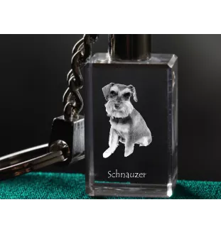 Schnauzer - Schlüsselanhänger aus Kristall mit Hundefoto, beleuchteter Schlüsselanhänger, einzigartiges Geschenk der Marke Art-Dog
