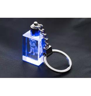 Schnauzer - Porte-clés en cristal avec photo de chien, porte-clés lumineux, cadeau unique de la marque Art-Dog