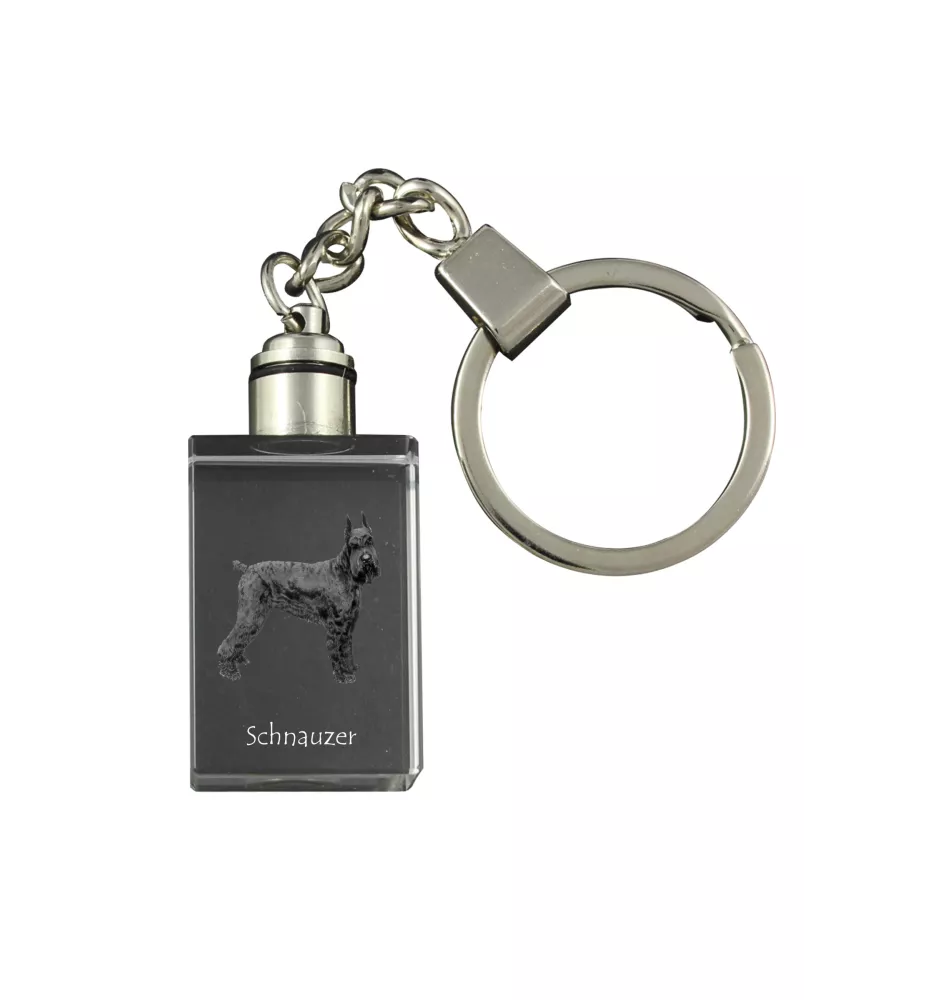 Schnauzer I - Schlüsselanhänger aus Kristall mit Hundefoto, beleuchteter Schlüsselanhänger, einzigartiges Geschenk der Marke Art-Dog