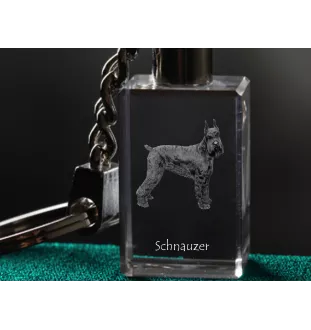 Schnauzer I - Schlüsselanhänger aus Kristall mit Hundefoto, beleuchteter Schlüsselanhänger, einzigartiges Geschenk der Marke Art-Dog