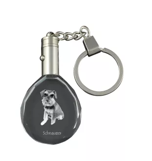 Schnauzer - pendant with a photo of a dog, crystal key ring in a gift box, a unique gift by Art-Dog