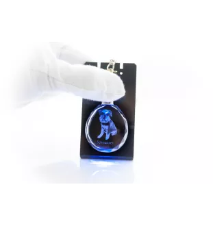 Schnauzer - pendentif avec une photo de chien, porte-clés en cristal dans une boîte cadeau, un cadeau unique par Art-Dog