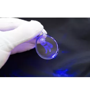 Schnauzer - Anhänger mit einem Foto eines Hundes, Schlüsselanhänger aus Kristall in einer Geschenkbox, ein einzigartiges Geschenk von Art-Dog