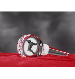 Schnauzer I - Crystal bottle stopper, unique wine stopper with photo, personalised gift for sommelier by Art-Dog brand
