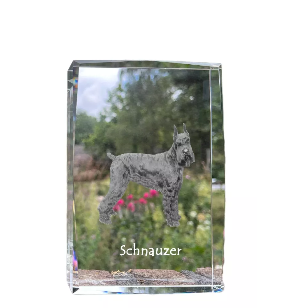 Schnauzer - cristal avec une photo de chien, photo sous verre, exposition moderne de la marque de photos Art-Dog