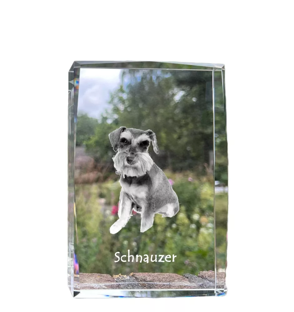 Schnauzer I - cristal avec une photo de chien, photo sous verre, exposition moderne de la marque de photos Art-Dog