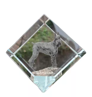 Schnauzer - Kristallwürfel mit Bild, Pferdebild im Kristall, sechseckiger Papierclip der Marke Art-Dog
