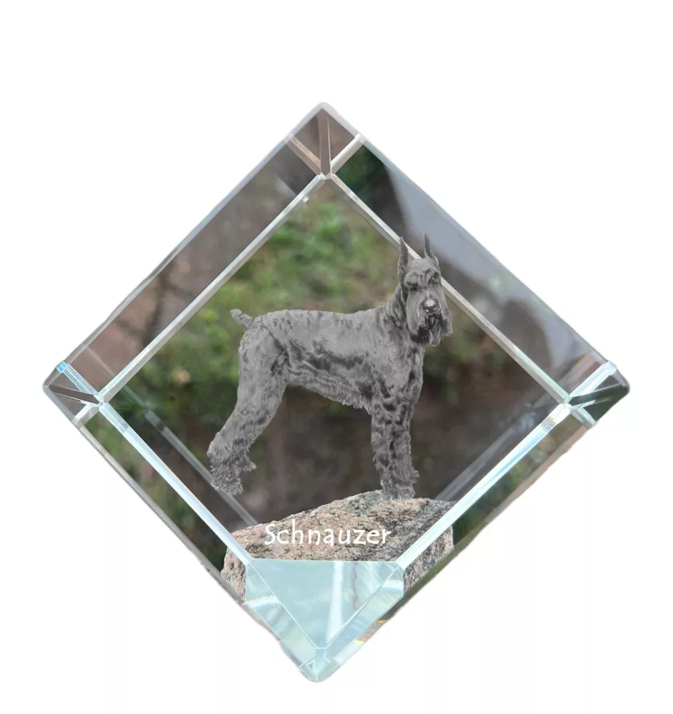 Schnauzer - crystal cube with a photo, photo of a horse in crystal, cubic paperweight from Art-Dog brand