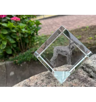 Schnauzer - Kristallwürfel mit Bild, Pferdebild im Kristall, sechseckiger Papierclip der Marke Art-Dog