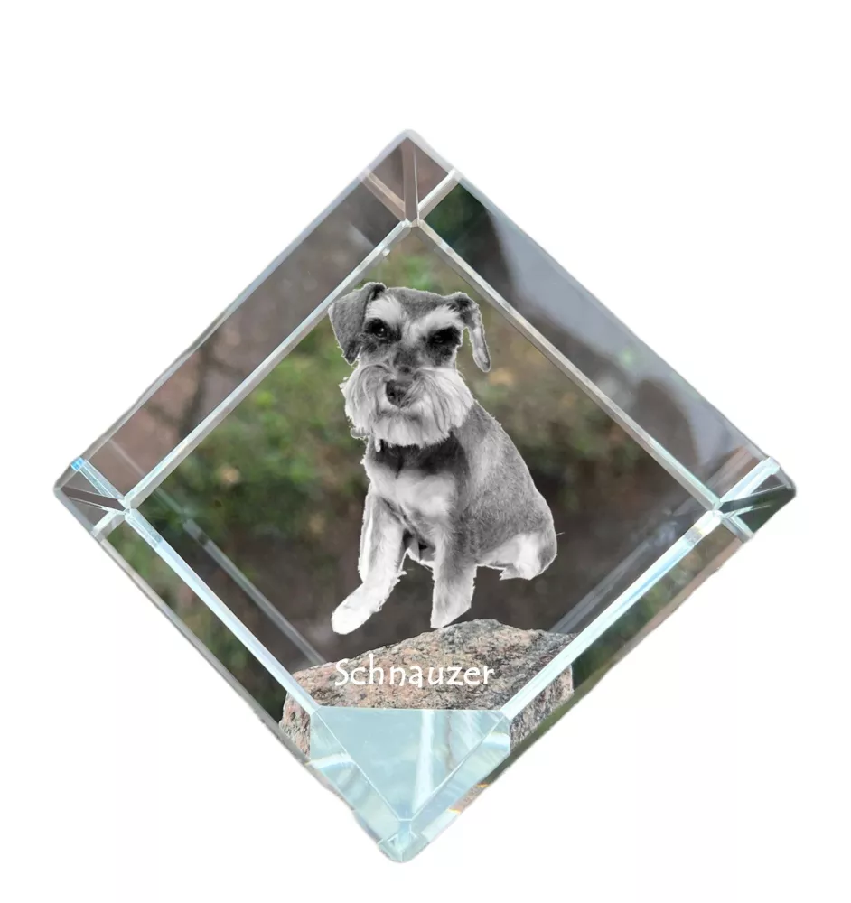 Schnauzer I - crystal cube with a photo, photo of a horse in crystal, cubic paperweight from Art-Dog brand