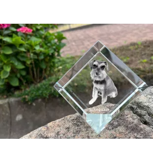 Schnauzer I - crystal cube with a photo, photo of a horse in crystal, cubic paperweight from Art-Dog brand