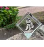 Schnauzer I - crystal cube with a photo, photo of a horse in crystal, cubic paperweight from Art-Dog brand