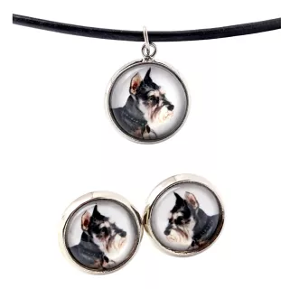 Schnauzer I - Schmuck mit Ihrem Foto-Box, Halskette und Ohrringe-Set, personalisierte Produkte der Marke Art-Dog.