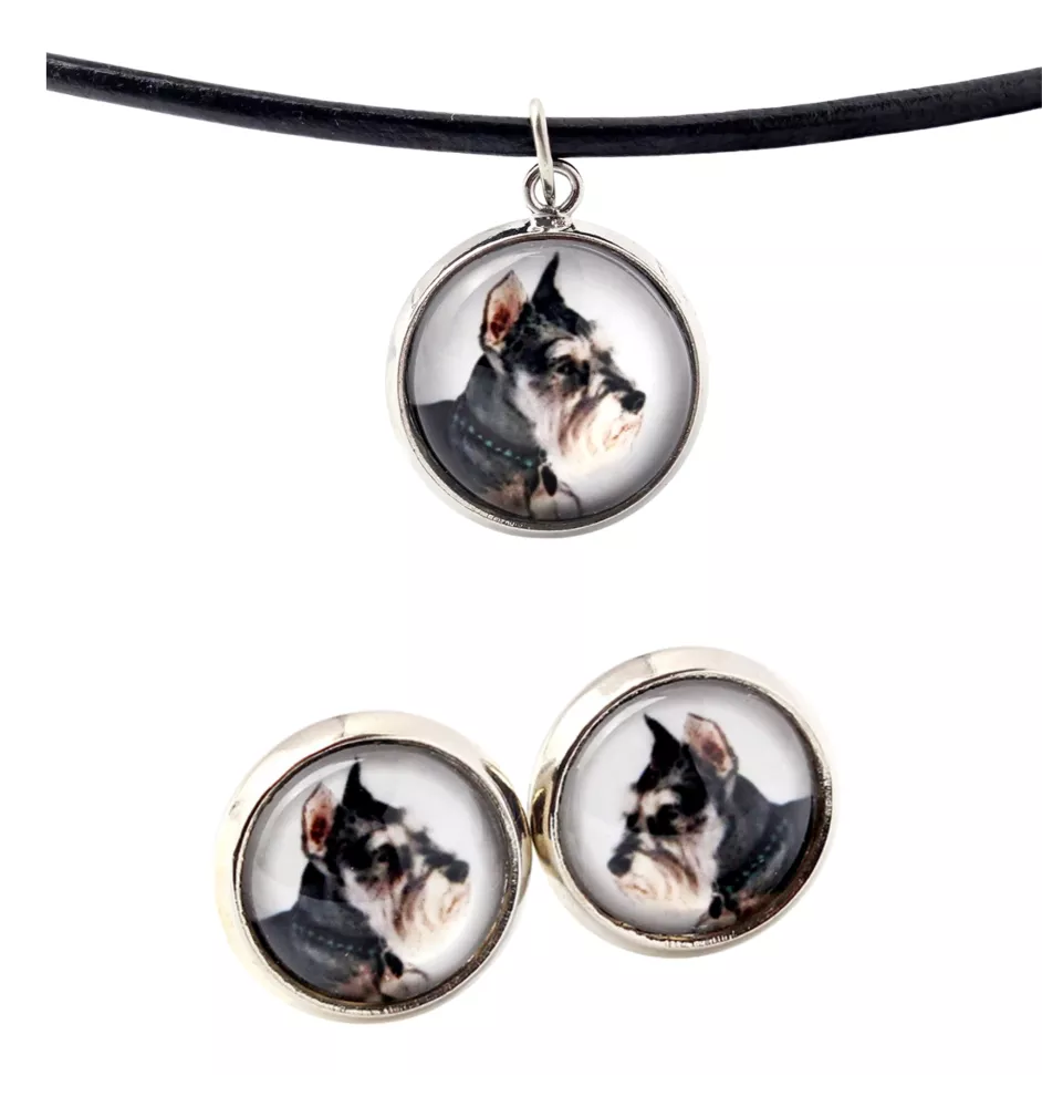 Schnauzer I - jewelry with your photo box, set of necklace and earrings, personalized products from the Art-Dog brand