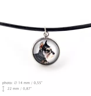 Schnauzer I - jewelry with your photo box, set of necklace and earrings, personalized products from the Art-Dog brand