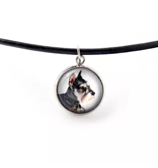 Schnauzer I - jewelry with your photo box, set of necklace and earrings, personalized products from the Art-Dog brand