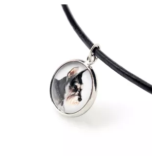 Schnauzer I - jewelry with your photo box, set of necklace and earrings, personalized products from the Art-Dog brand