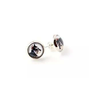 Schnauzer I - jewelry with your photo box, set of necklace and earrings, personalized products from the Art-Dog brand