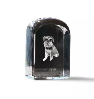 Schnauzer - un cube de cristal avec une photo, une photo de chien dans le cristal, un presse-papiers cubique de la marque Art-Dog