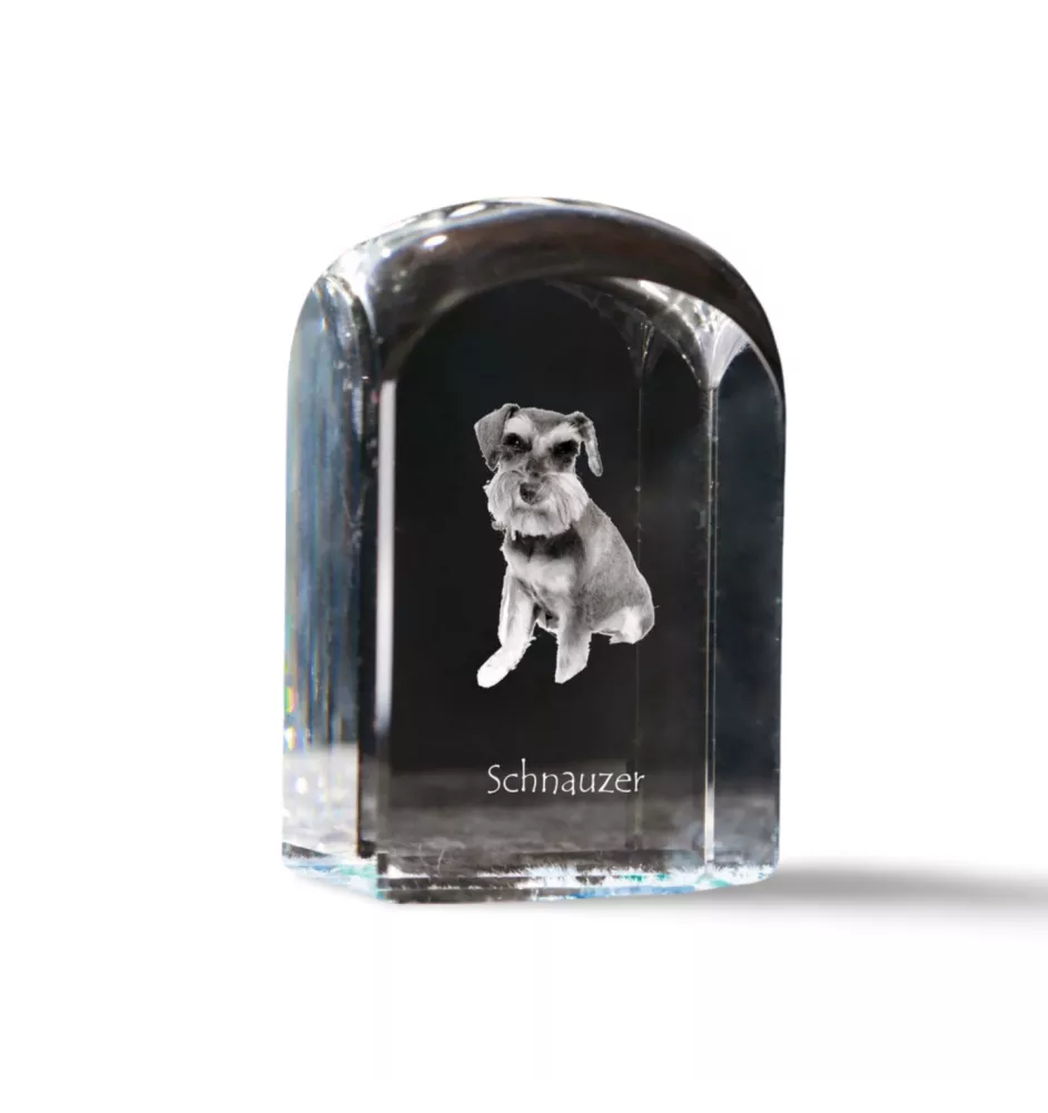 Schnauzer - crystal cube with a photo, photo of a dog in crystal, cubic paperweight from Art-Dog brand