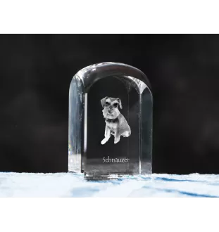 Schnauzer - un cube de cristal avec une photo, une photo de chien dans le cristal, un presse-papiers cubique de la marque Art-Dog