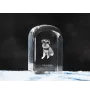 Schnauzer - un cube de cristal avec une photo, une photo de chien dans le cristal, un presse-papiers cubique de la marque Art-Dog